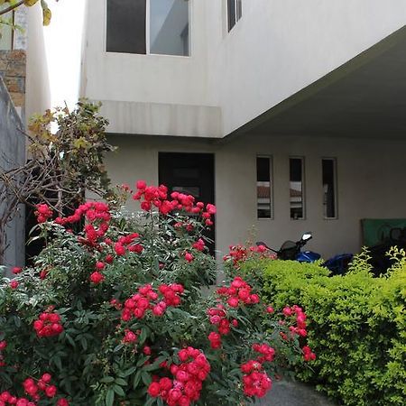Consulado Suites Monterrey Exteriör bild